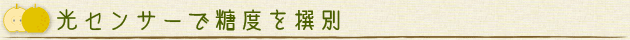 光センサーで糖度を撰別