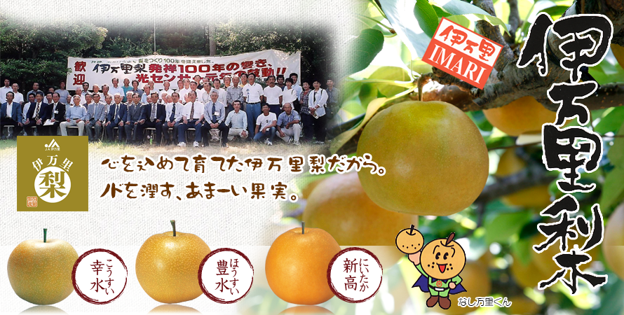 伊万里梨発祥100年の響き　光センサー導入元年の鼓動